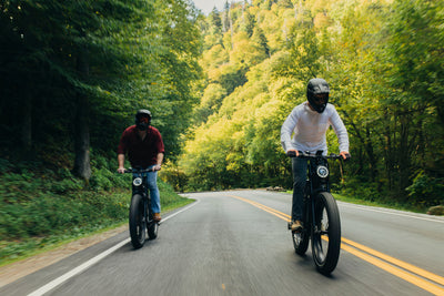 Exploring the World of Ebikes