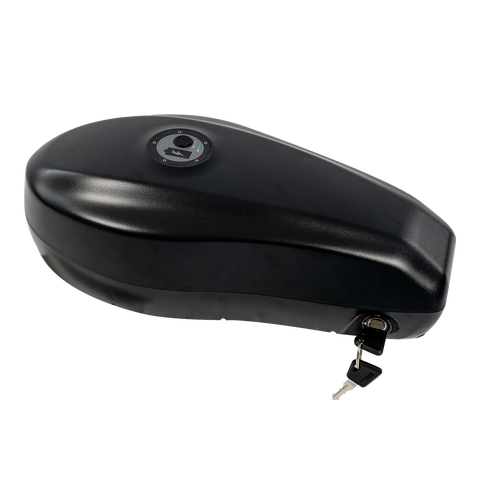 Revi Cougar 20Ah battery pack