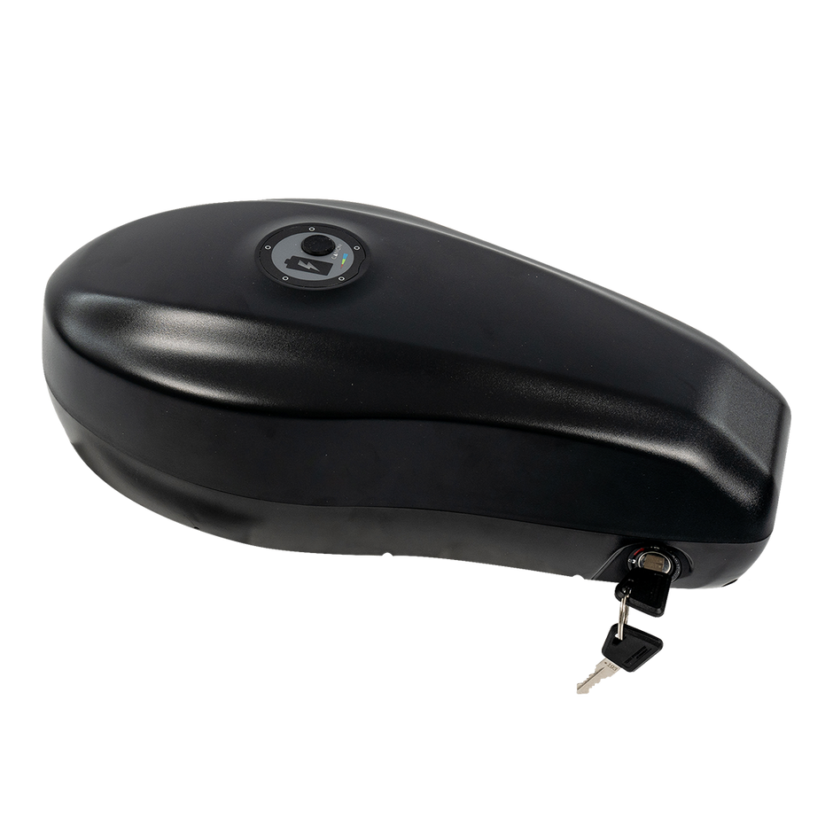 Revi Cougar 20Ah battery pack