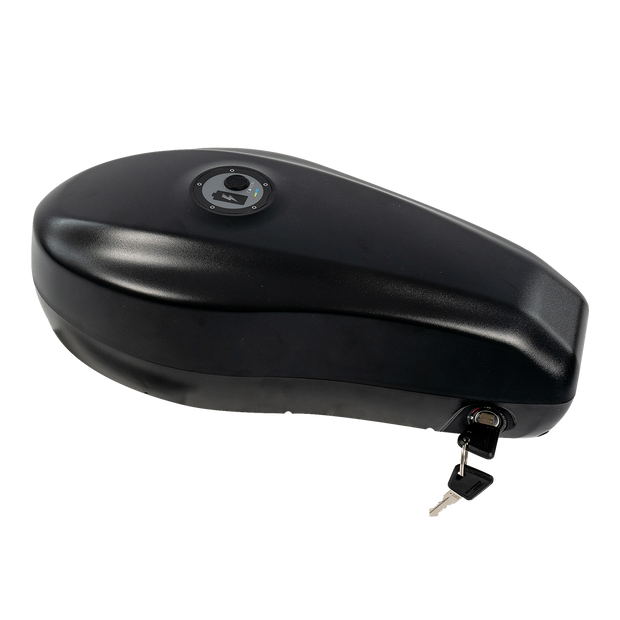 Revi Cougar 20Ah battery pack