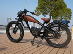 Revi Cheetah second battery mounted on the bike frame
