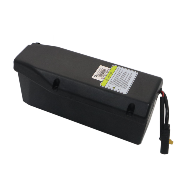 Revi Cheetah 48V replacement lithium battery pack
