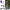 L1_Ausom_Electric_scooter_lifestyle_image back to modern sale 