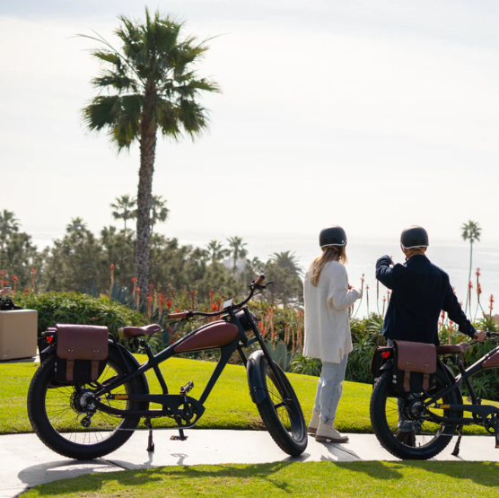 Cheetah Café Racer (New 2026）