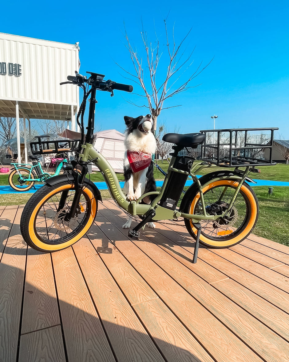 Two Revi Rebel 2 folding e-bikes parked on a boardwalk with a dog