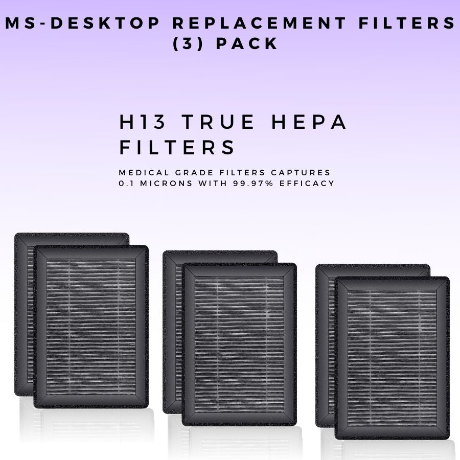 MS DESKTOP REPLACEMENT FILTERS